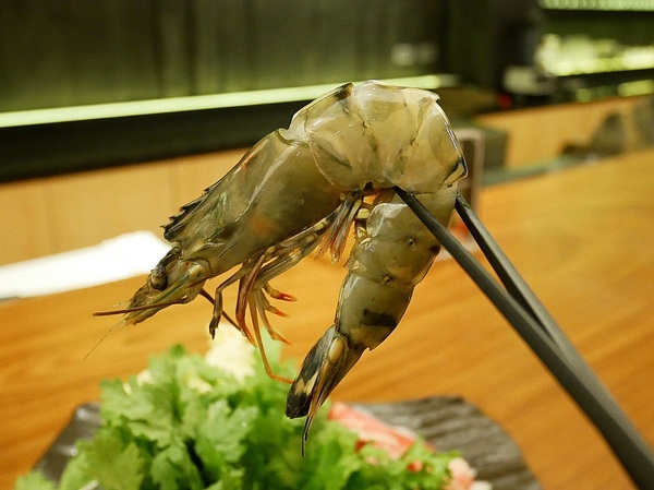 cm20190209___2f64db21c34e8ffc5115d4997a4