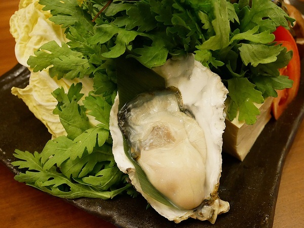 cm20190209___67e02fe11fa8bbf033ca84dab5e