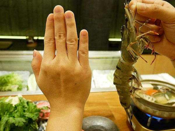 cm20190209___b94bbce3e705d05e3231c273e09