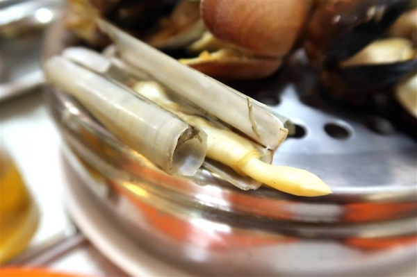 二月牌沙茶爐：新莊火鍋 二月牌沙茶爐 現流海鮮塔蛤蠣紅蟳 台南魚冊火鍋料超威 打卡送牛肉~