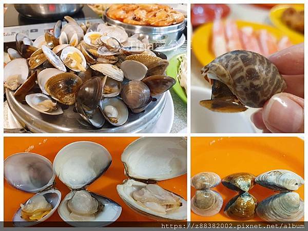 二月牌沙茶爐 溫體牛%2F海鮮塔火鍋_Tina愛分享 二月牌沙茶爐 溫體牛%2F海鮮塔火鍋_Tina愛分享