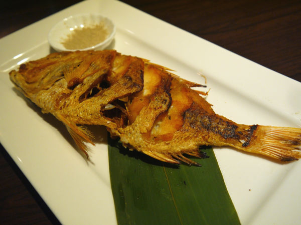 P1220879_meitu_184 P1220879_meitu_184