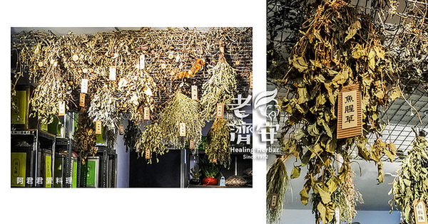 老濟安 Healing Herbar療癒風青草茶吧:萬華老店【老濟安】Healing Herbar療癒風青草手沖茶吧。好喝的隱藏版青草啤酒不會變胖!無酒精低熱量還能擊退啤酒肚!