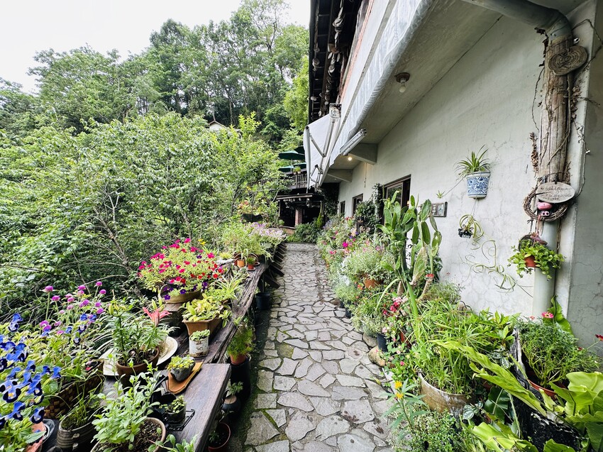 【山行寄野×山行玫瑰】苗栗南庄山林秘境民宿與景觀咖啡廳，靜謐