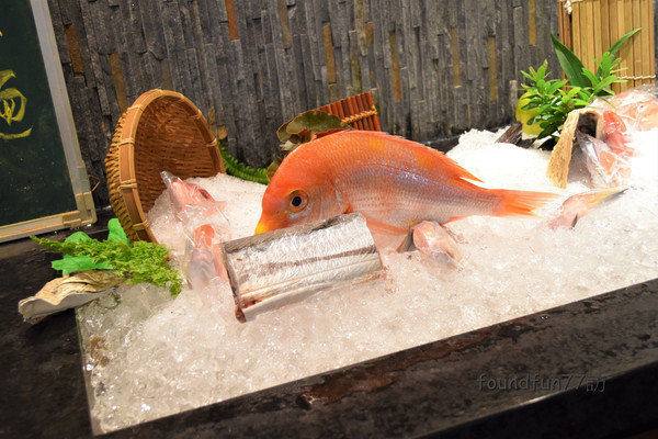 DSC_2453.jpg DSC_2453.jpg