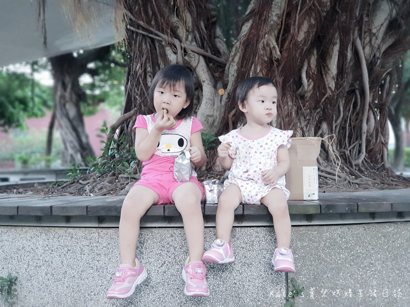 有甘田 WannaEat好想吃甜點 中秋套餐 有甘甜中秋套餐 東區甜點推薦 信義區甜點推薦 茶膠囊推薦 茶膠囊是什麼 堅果禮盒 私奔到月球 WannaEat好想吃甜點中秋套餐34.jpg