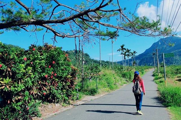 15970478_120300001542058726_324688171_n