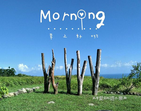 23365157_1598762726811608_1146646326_n