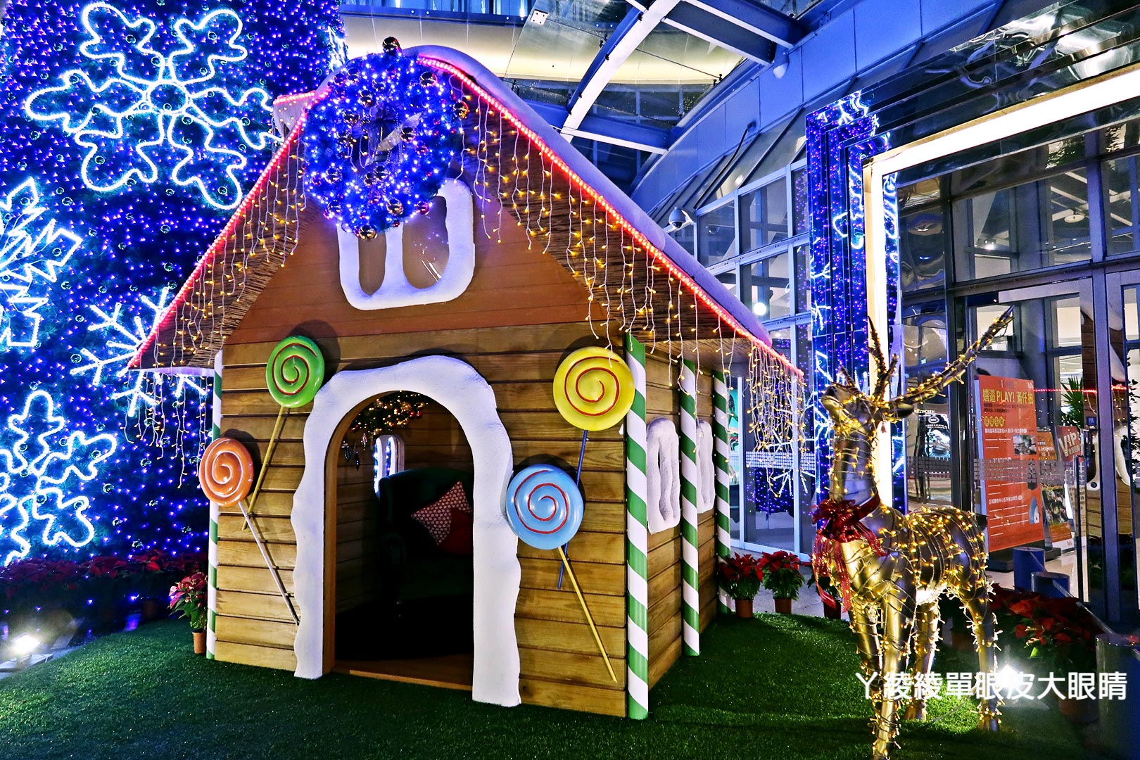 新竹聖誕節最夯打卡地標！可愛小熊維尼聖誕裝置和巨型聖誕樹