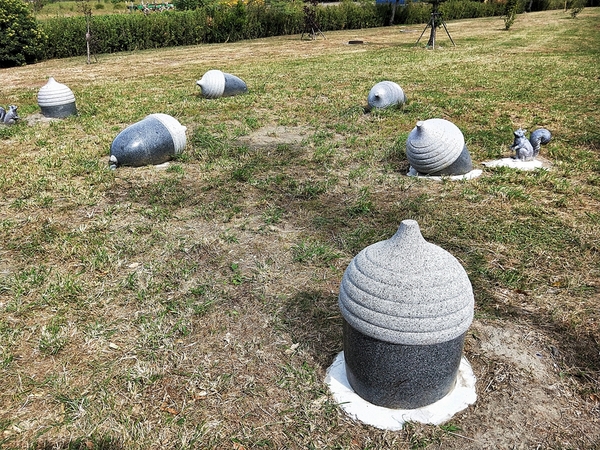 頂魚寮公園:【台中梧棲景點】頂魚寮公園-藍色鯨魚溜滑梯,好拍的3D彩繪海底世界,台中親子快樂園地