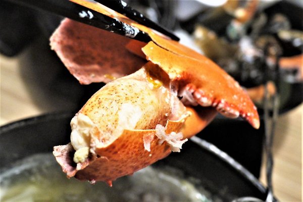 鮮入圍煮-精緻鍋物：【板橋/火鍋】 鮮入圍煮-精緻鍋物，活波士頓龍蝦鍋，活沙公鍋～滿滿的頂級海鮮～文末有完整菜單