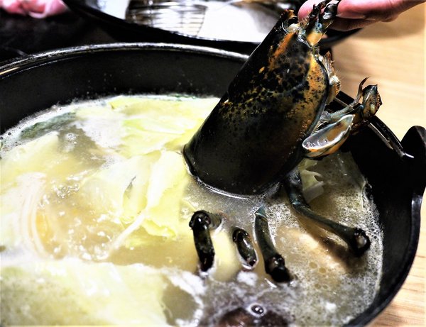 鮮入圍煮-精緻鍋物：【板橋/火鍋】 鮮入圍煮-精緻鍋物，活波士頓龍蝦鍋，活沙公鍋～滿滿的頂級海鮮～文末有完整菜單