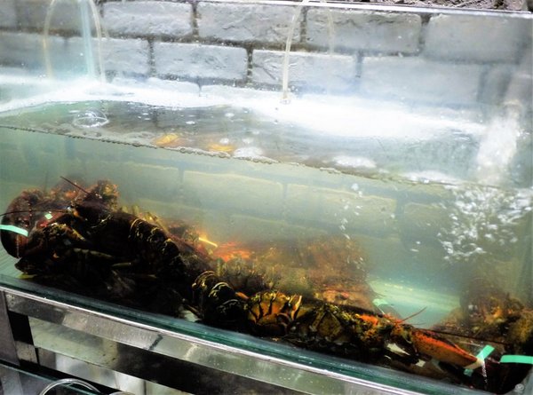 鮮入圍煮-精緻鍋物：【板橋/火鍋】 鮮入圍煮-精緻鍋物，活波士頓龍蝦鍋，活沙公鍋～滿滿的頂級海鮮～文末有完整菜單