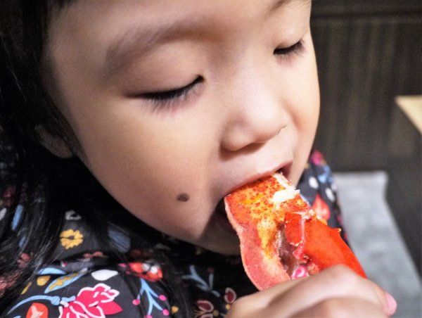 鮮入圍煮-精緻鍋物：【板橋/火鍋】 鮮入圍煮-精緻鍋物，活波士頓龍蝦鍋，活沙公鍋～滿滿的頂級海鮮～文末有完整菜單