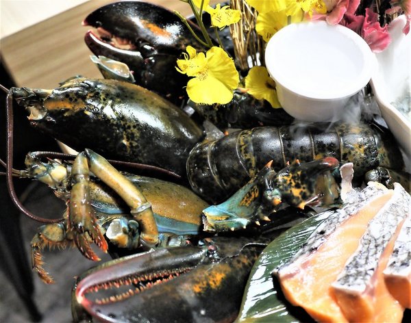 鮮入圍煮-精緻鍋物：【板橋/火鍋】 鮮入圍煮-精緻鍋物，活波士頓龍蝦鍋，活沙公鍋～滿滿的頂級海鮮～文末有完整菜單