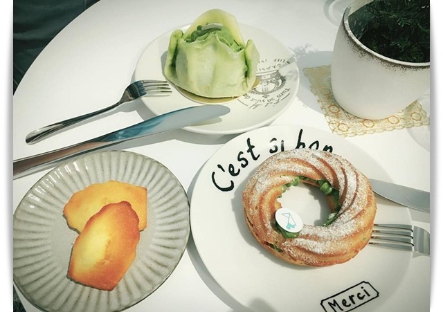 萌萌der~~捨不得吃的動物冰淇淋!!! - 「光合作用 Photosynthesis」❤