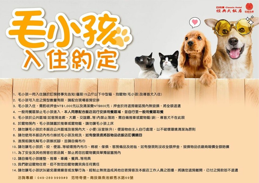 日月潭經典大飯店范特奇堡 | 親子寵物友善 | 兒童遊戲區-14 日月潭經典大飯店范特奇堡 | 親子寵物友善 | 兒童遊戲區-14