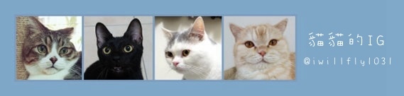 貓貓IG.jpg
