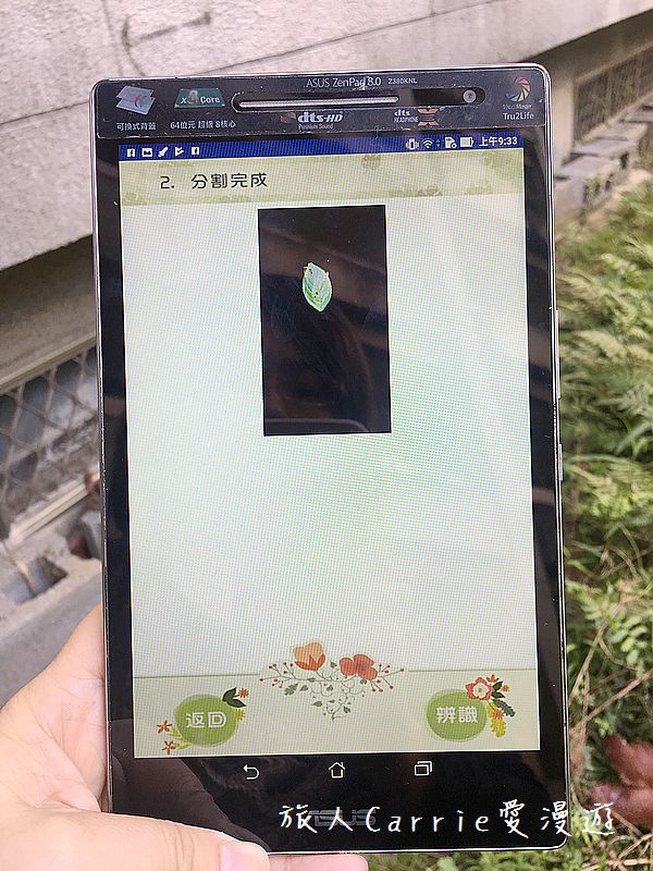 植物檢索App,讓手機也能變身成植物百科全書!台南大學植物檢索教育推廣計畫