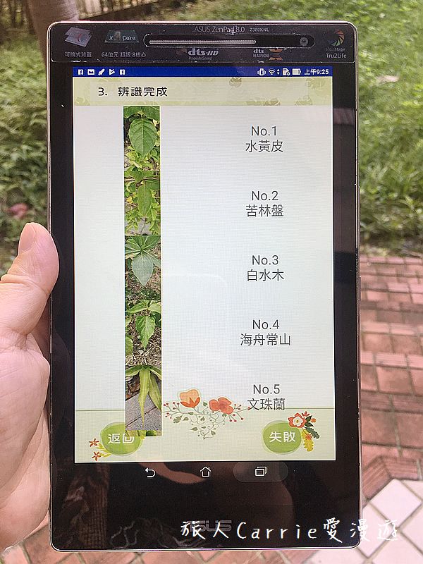 植物檢索App,讓手機也能變身成植物百科全書!台南大學植物檢索教育推廣計畫
