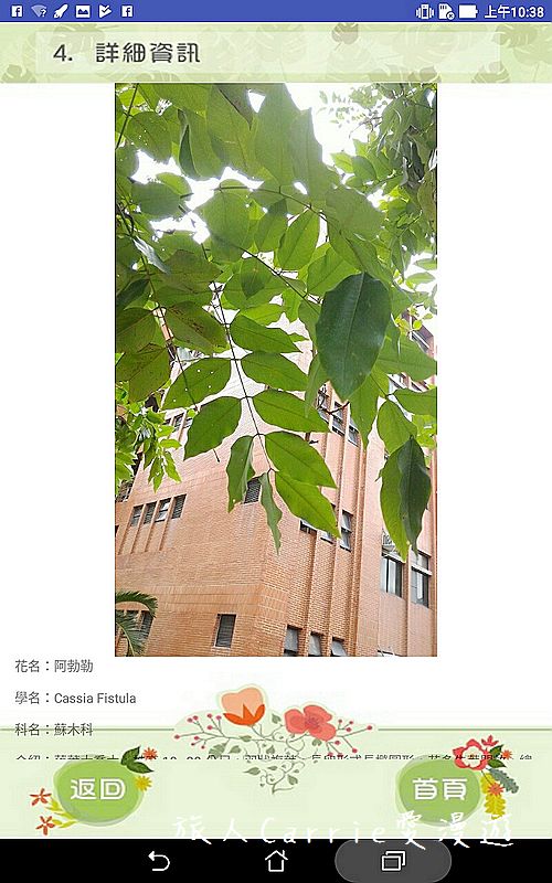 植物檢索App,讓手機也能變身成植物百科全書!台南大學植物檢索教育推廣計畫