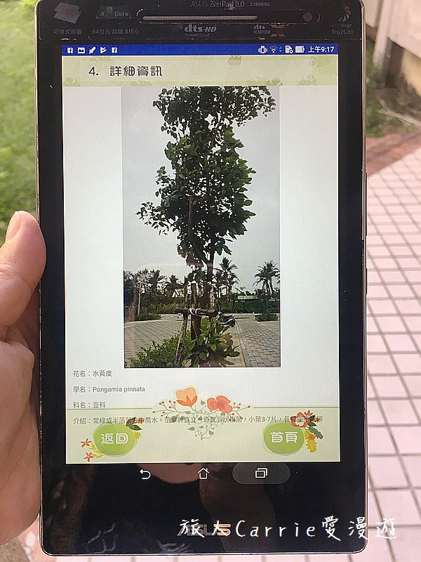 植物檢索App,讓手機也能變身成植物百科全書!台南大學植物檢索教育推廣計畫