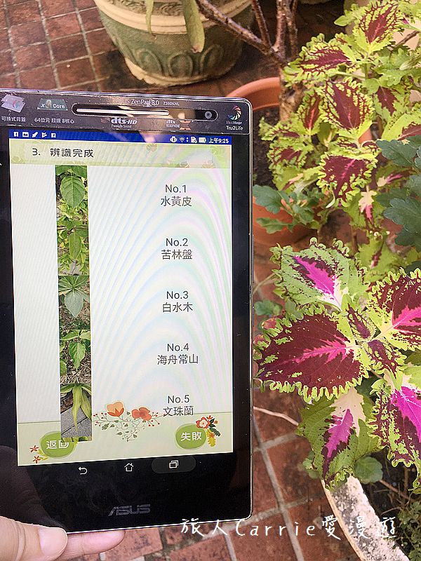 植物檢索App,讓手機也能變身成植物百科全書!台南大學植物檢索教育推廣計畫