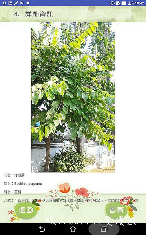 植物檢索App,讓手機也能變身成植物百科全書!台南大學植物檢索教育推廣計畫