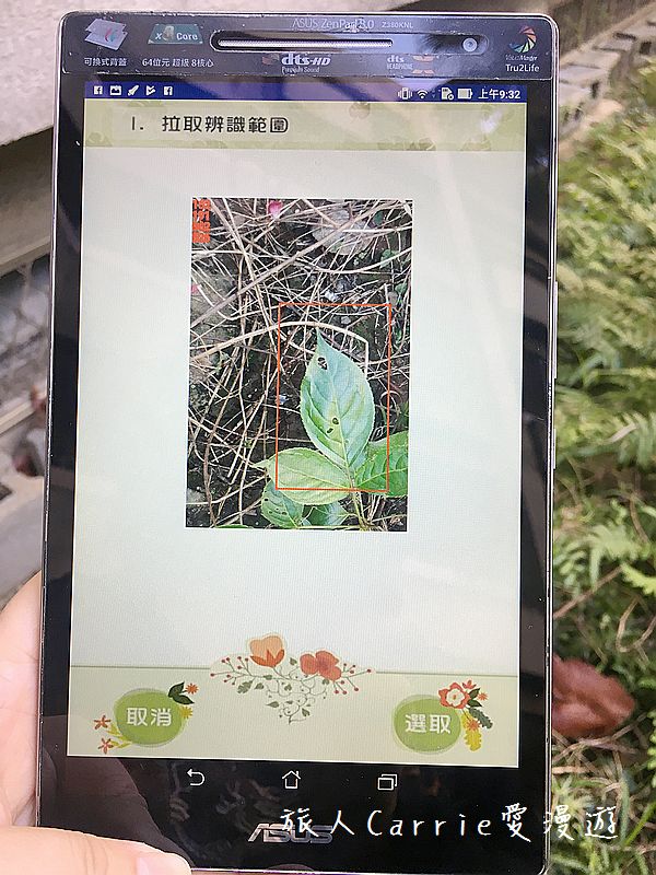 植物檢索App,讓手機也能變身成植物百科全書!台南大學植物檢索教育推廣計畫