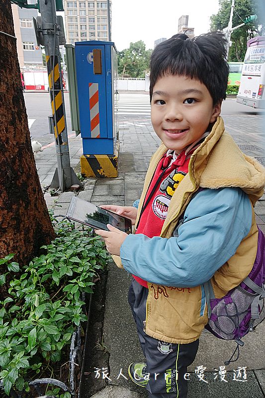 植物檢索App,讓手機也能變身成植物百科全書!台南大學植物檢索教育推廣計畫