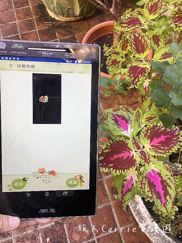 植物檢索App,讓手機也能變身成植物百科全書!台南大學植物檢索教育推廣計畫