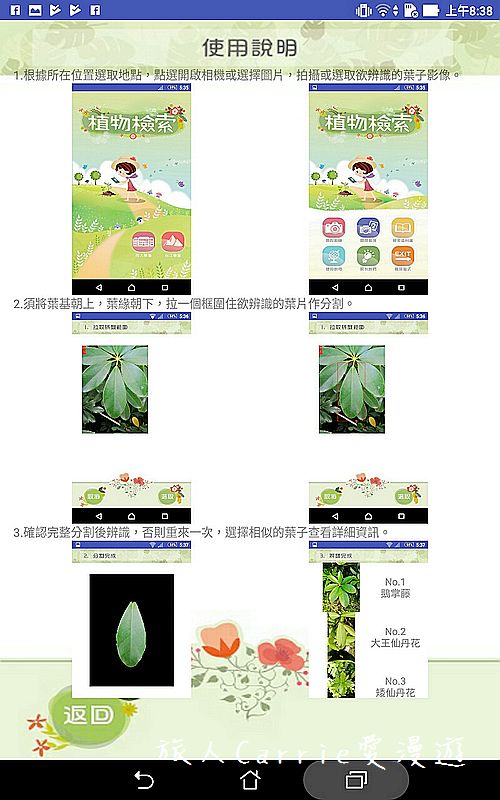 植物檢索App,讓手機也能變身成植物百科全書!台南大學植物檢索教育推廣計畫