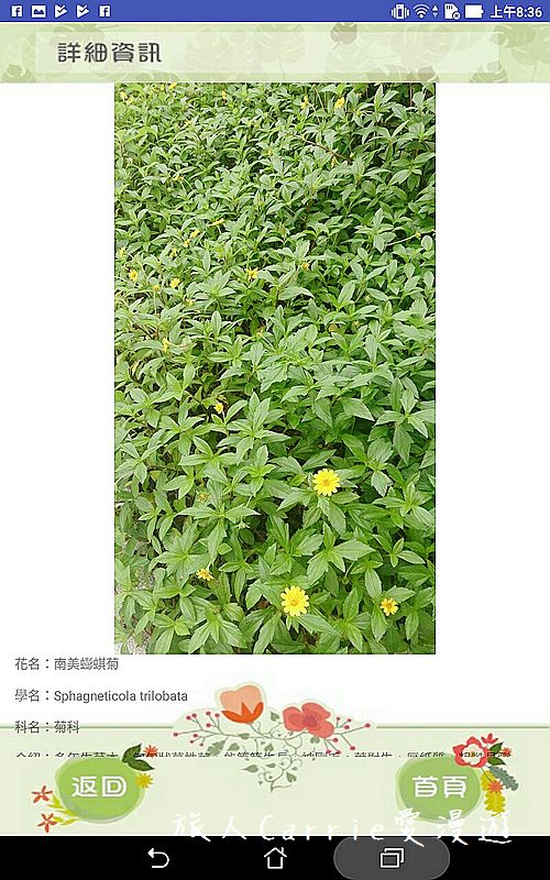 植物檢索App,讓手機也能變身成植物百科全書!台南大學植物檢索教育推廣計畫