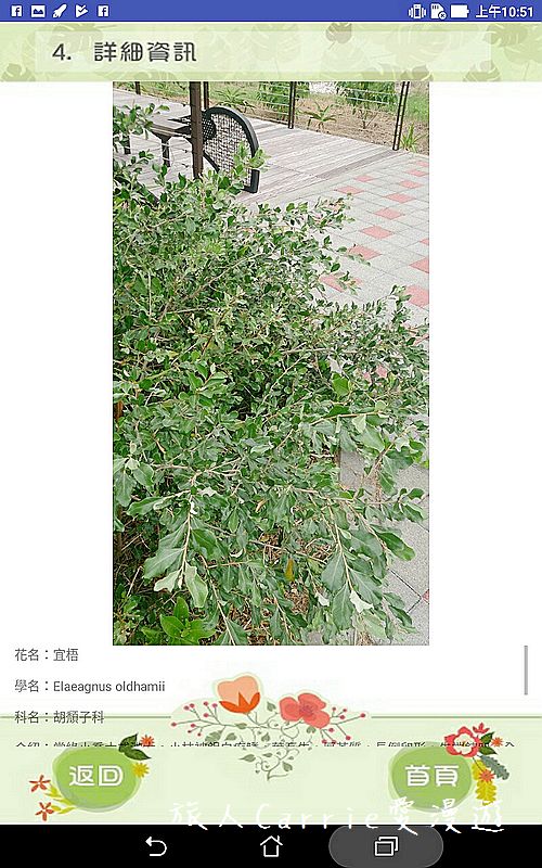 植物檢索App,讓手機也能變身成植物百科全書!台南大學植物檢索教育推廣計畫