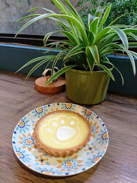 25507990_1721575321207483_4949879609374233237_n