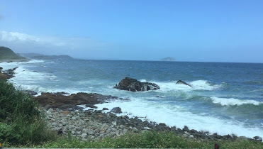 中壢社大週四趴趴走-瑞芳景點-南子吝步道一日遊