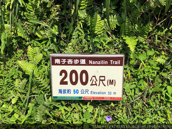 圓圓家出去玩-<新北景點>360度山海景步道，視野超遼闊，南子吝步道，拾階而上美景自然呈現