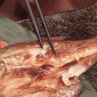 美食餐廳║ 台北中山區 田樵初代目居酒屋 濃厚日本風居酒屋 日式料理/居酒屋推薦/小酌一杯好去處 ❤跟著Livia享受人生❤