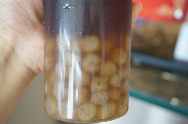 DSC09856.jpg DSC09856.jpg