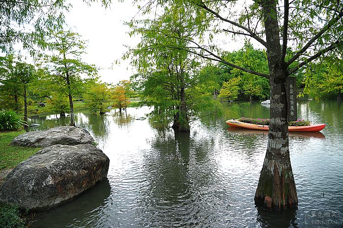 花蓮落羽松景觀餐廳！松湖驛站落羽松湖畔美景，品嚐各國美食合菜下午茶。