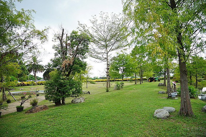 花蓮落羽松景觀餐廳！松湖驛站落羽松湖畔美景，品嚐各國美食合菜下午茶。