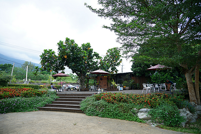 花蓮落羽松景觀餐廳！松湖驛站落羽松湖畔美景，品嚐各國美食合菜下午茶。