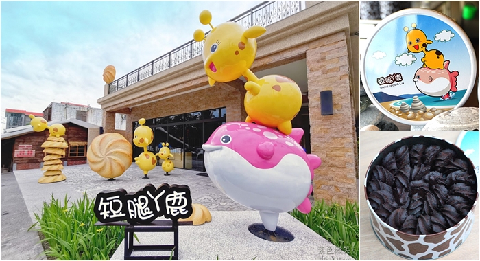 花蓮落羽松景觀餐廳！松湖驛站落羽松湖畔美景，品嚐各國美食合菜下午茶。