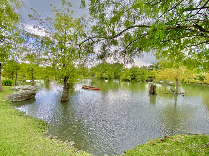 花蓮落羽松景觀餐廳！松湖驛站落羽松湖畔美景，品嚐各國美食合菜下午茶。