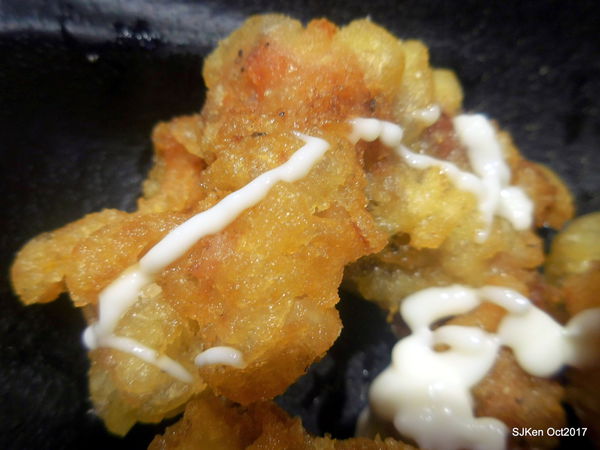 13-DSCN1870.JPG 13-DSCN1870.JPG