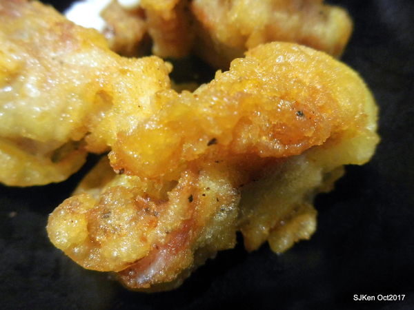 15-DSCN1868.JPG 15-DSCN1868.JPG