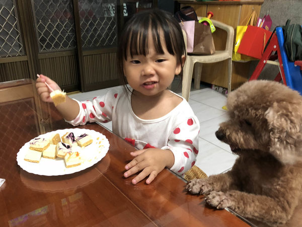 ●生活美食●喫貨巷九九號/一口一顆巧口乳酪蛋糕/下午茶甜點的首選/自己吃或是當伴手禮都合適