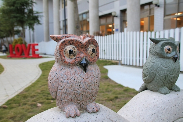 臺中市立圖書館霧峰以文分館:【台中霧峰景點】搶先曝光~臺中市立圖書館霧峰以文分館,隱藏版的夢幻小教堂與LOVE造景,約會美拍新地標