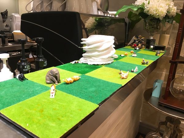 朗果-6.JPG 朗果-6.JPG