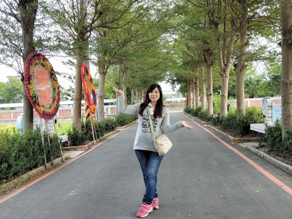 馬興藥草植物園區:【彰化秀水景點】馬興藥草植物園區~旋轉木馬超人氣夢幻順遊小景點,馬興國小綠色廊道